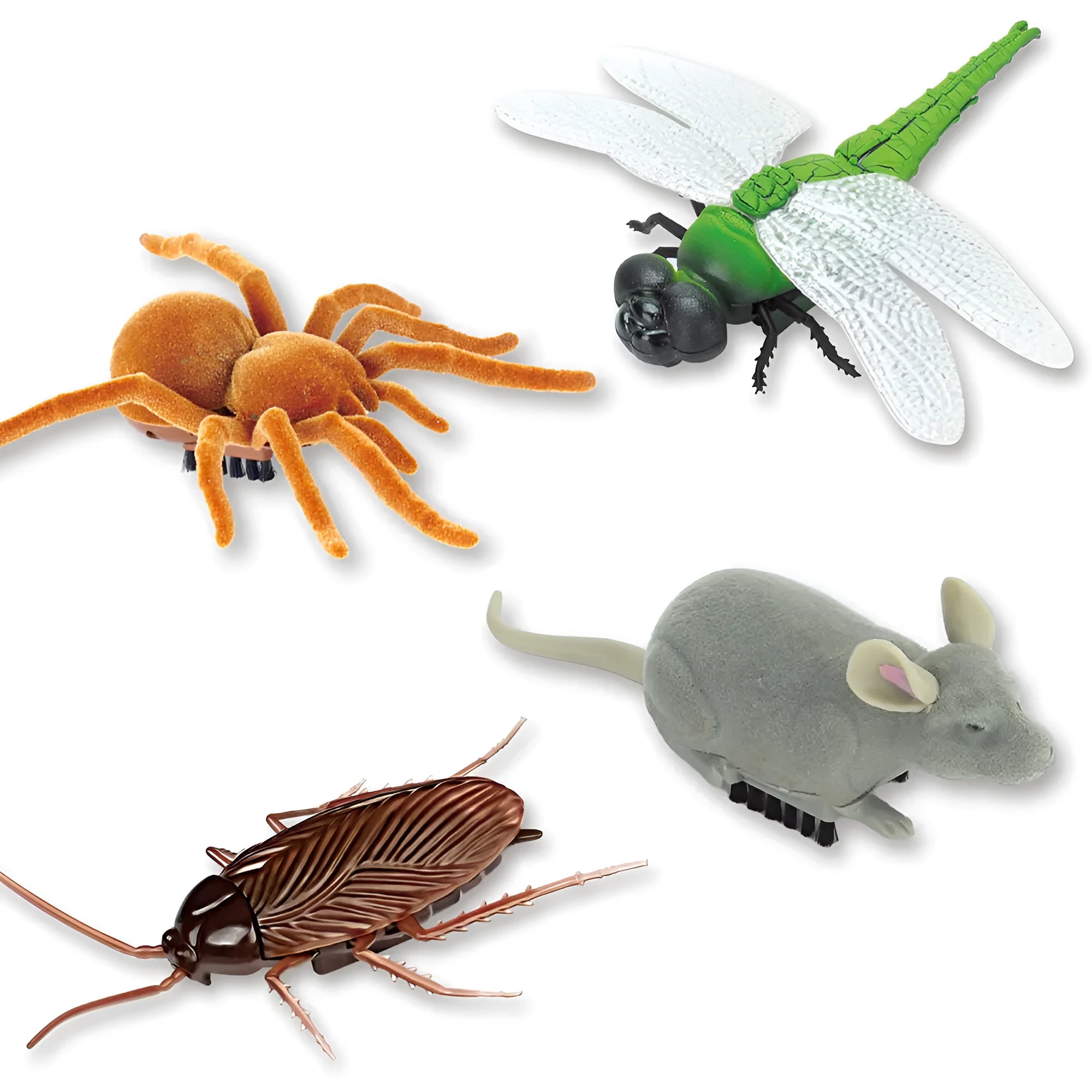 Electric vibration pet toy in four animal designs: cockroach, tarantula, mouse, and dragonfly