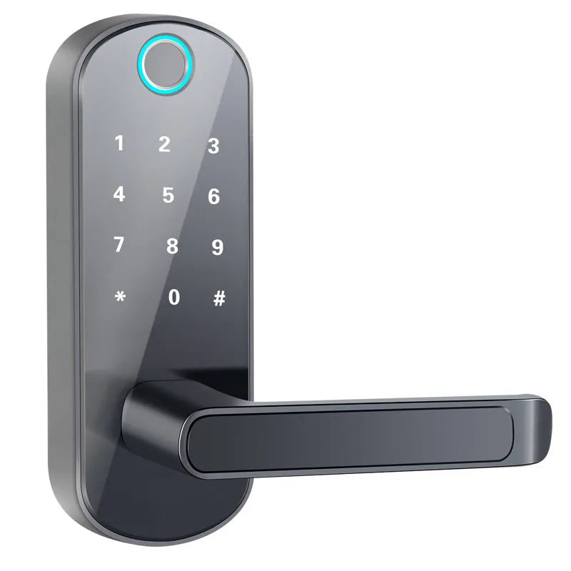 Smart Bluetooth fingerprint door lock in black or silver finish on a wooden door.