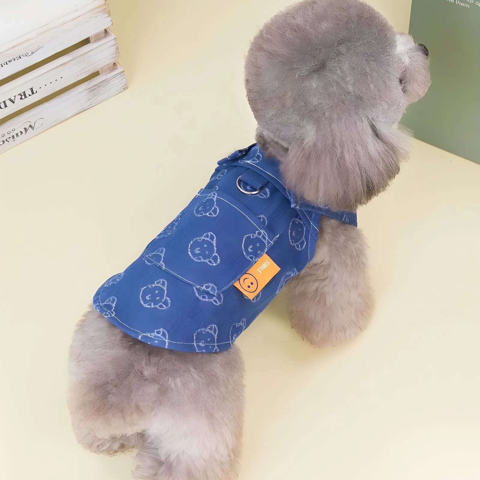Teddy Bichon wearing thin denim princess dress with bracket-skirt design in blue denim