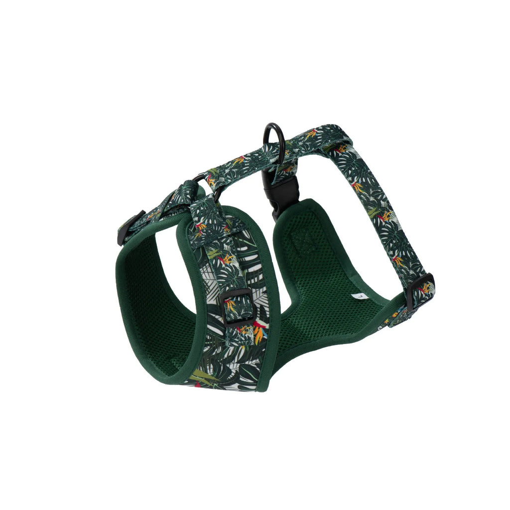 Adjustable pet harness set with six accessories including waste bag in cloth material