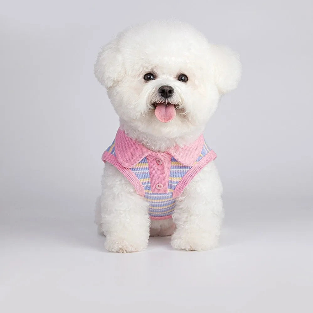 Pink purple reversible autumn vest for small dog or cat with elastic leg openings