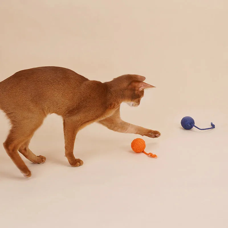 Cat toy set with teaser stick and coloured catnip balls on white background