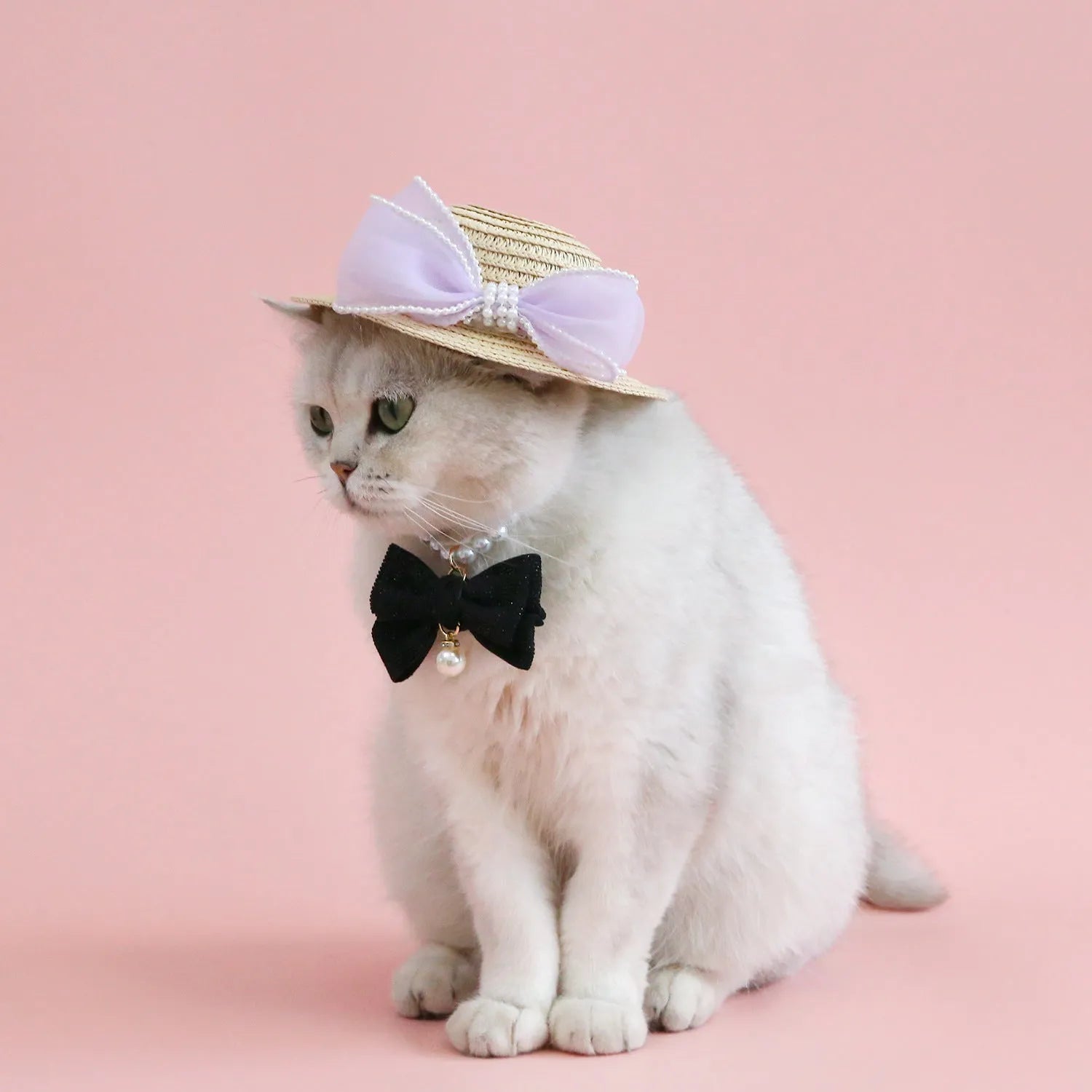Cat wearing a woven straw hat with a pearl bow decoration in a princess style.