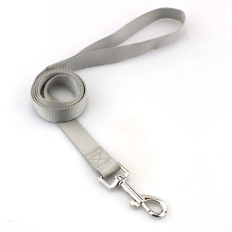 Solid colour polyester dog training lead with integrated hand-holding rope grip shown in blue.