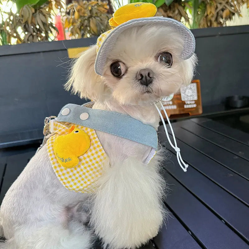 Three-piece pet set showing a dog harness, a leash with a wire rope section, and cute cat clothes on a hanger.