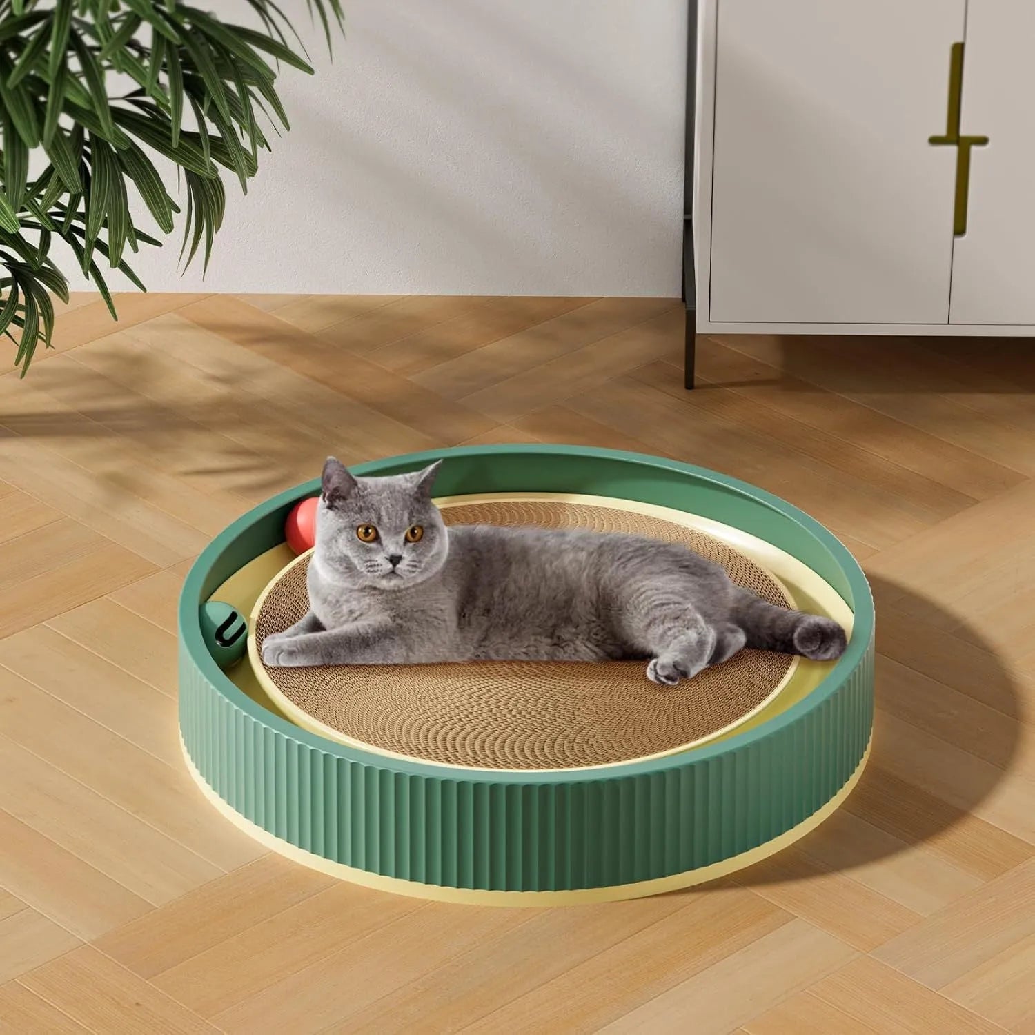 Large green circular cat scratching board with spring plush ball and moving bell toys
