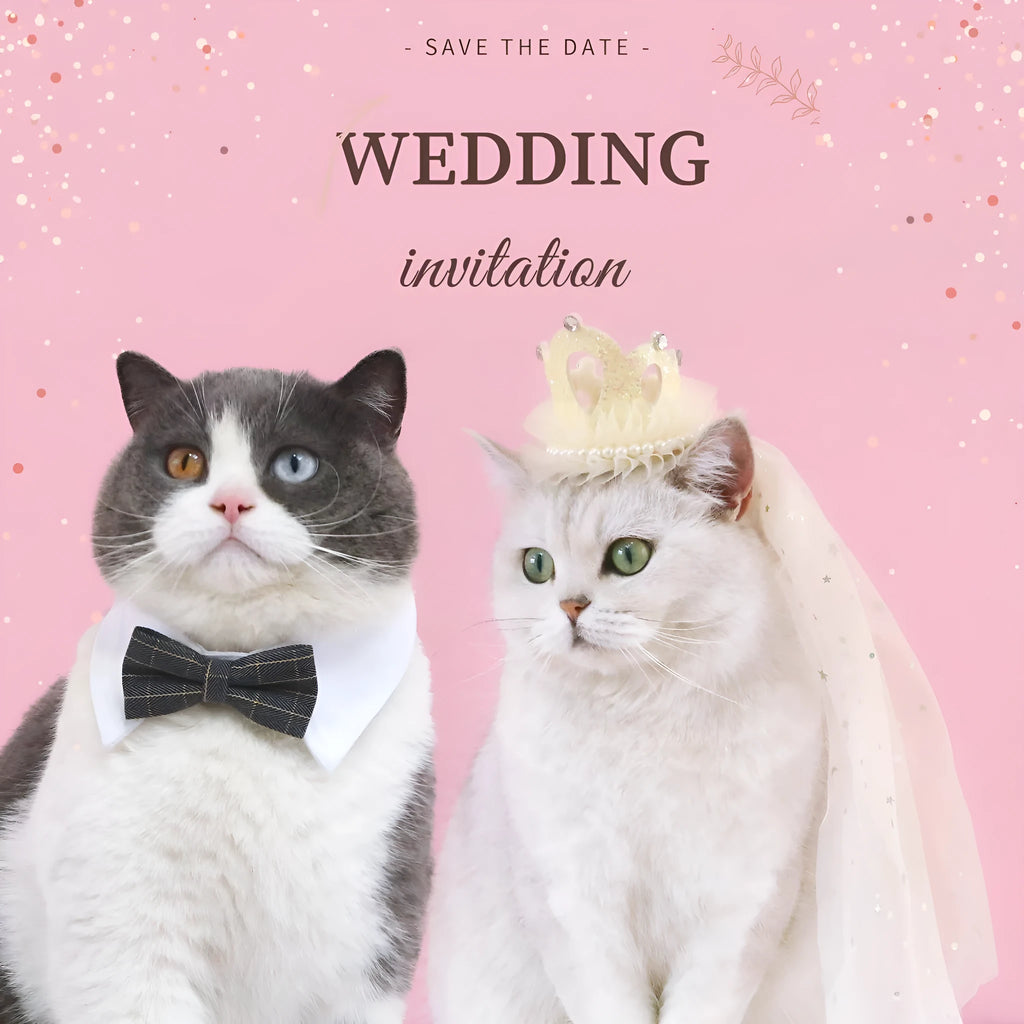 A cat wearing a princess crown headdress with a long, flowing veil for a wedding or celebration.