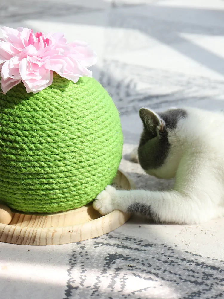 Cactus-shaped vocal cat toy with grinding paw surface and three colour options on a floor