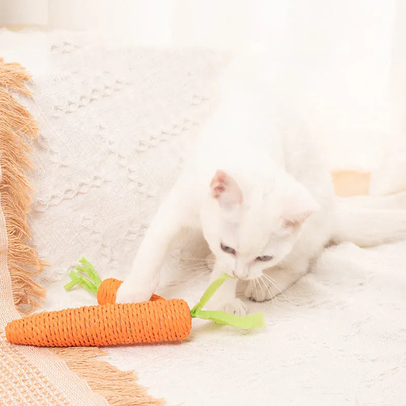 Assorted cat toys bundle showing carrot bites, ringing stones, sticks, and dental aids in two size options