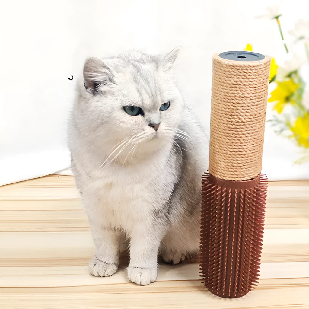 Brown sisal fibre cat scratching post measuring 30cm tall with rope texture for claw sharpening