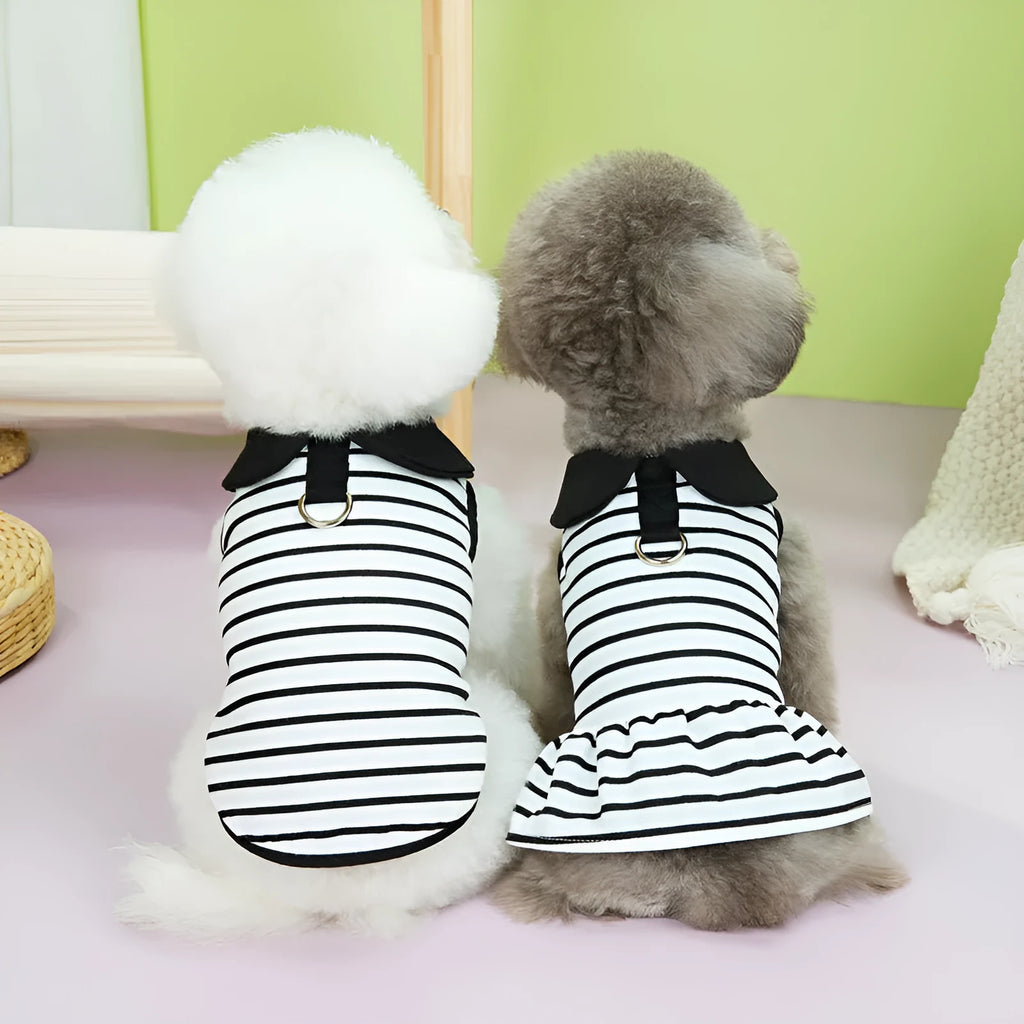 Pet wearing striped cotton T-shirt and matching skirt summer outfit