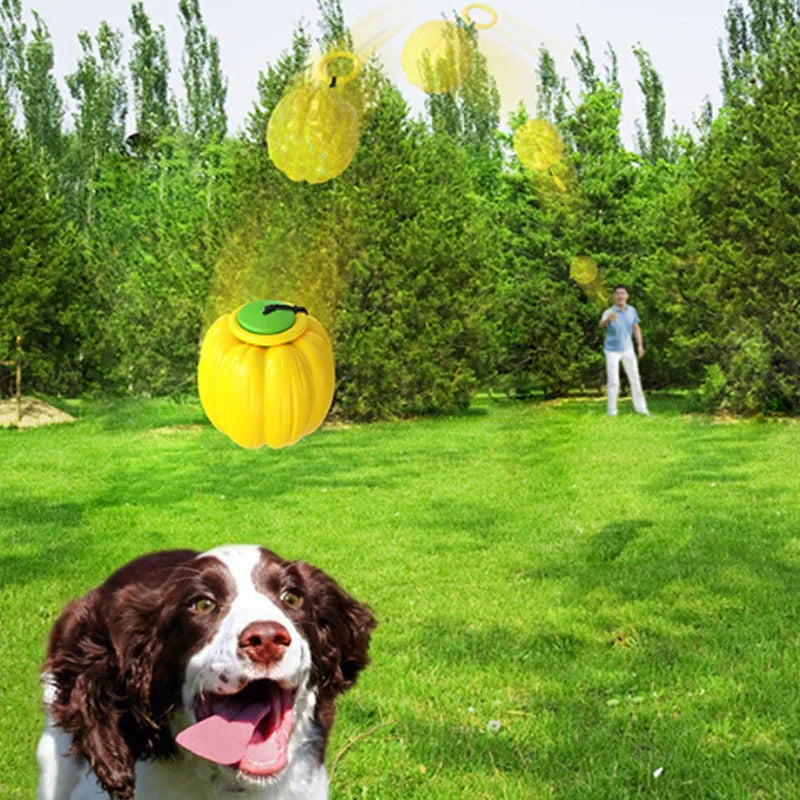 Green, orange, and yellow plastic pumpkin dog chew toy with squeaker for small dogs.