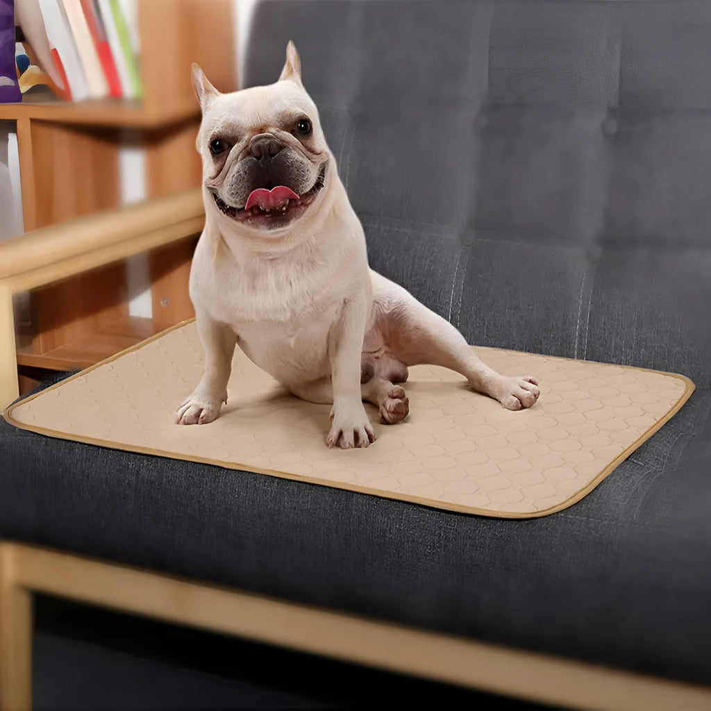 Reusable dog urine pad with non-slip TPU bottom, gray, in L size 100x67x4.5cm