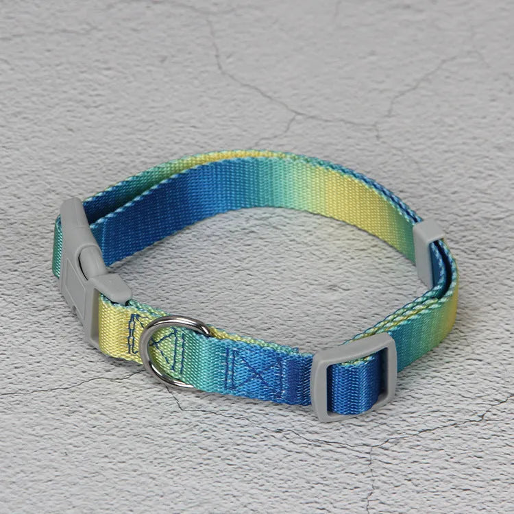 Gradient colour nylon pet leash set with dog collar and lead in pink blue yellow purple green combinations
