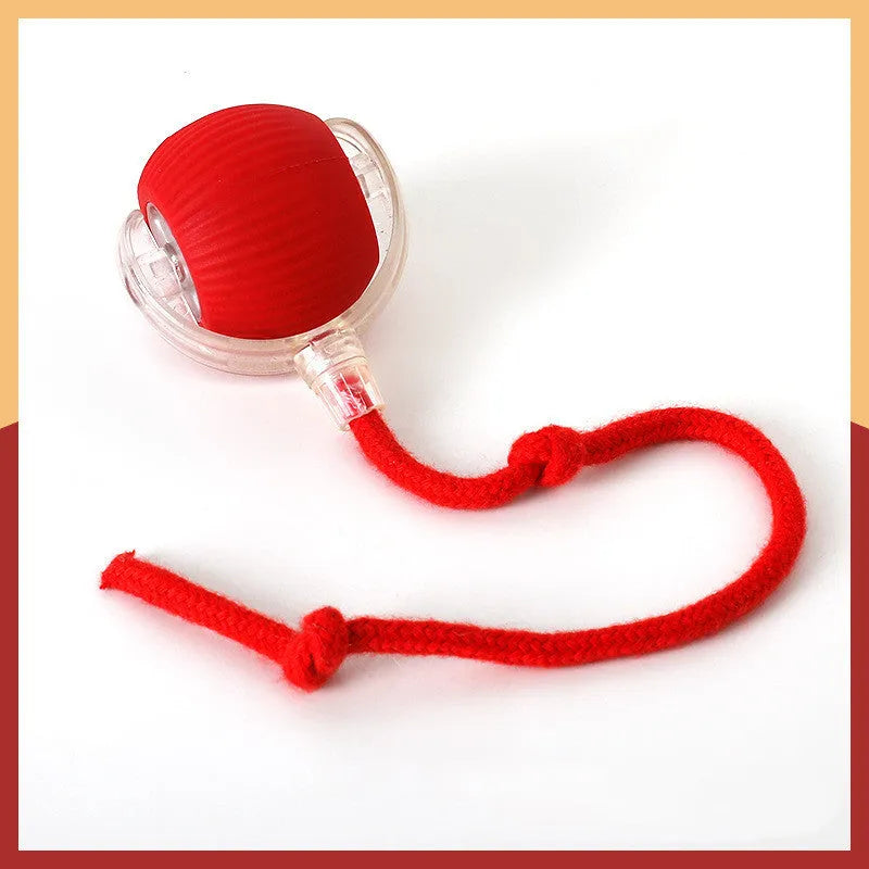Silicone self-moving rolling ball cat toy in green, red, and grey colour options.