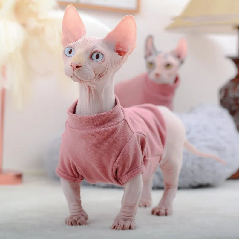 Hairless cat wearing toothpick Dralon jumper in cherry pink, two-foot design for front legs, soft autumn winter pet clothing