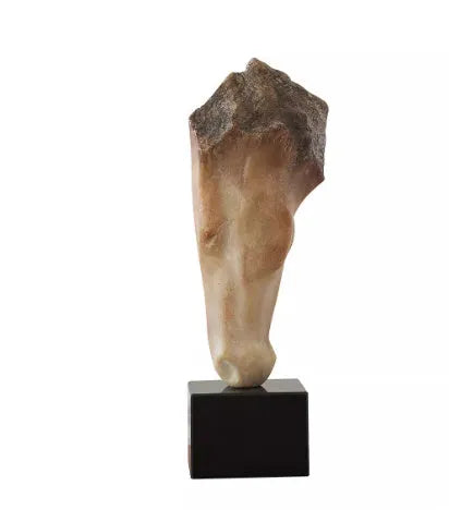 Tall abstract horse head desktop sculpture with a carved finish on a wooden surface.