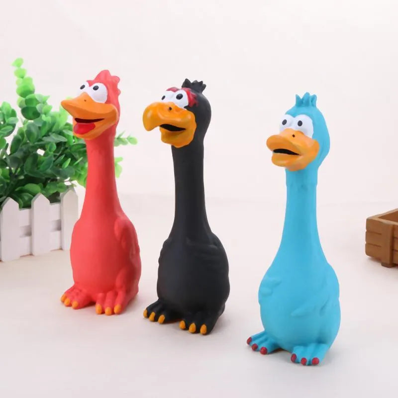 Dog screaming chicken sounding toy in natural latex, 20cm, bite resistant, black colour, on plain background