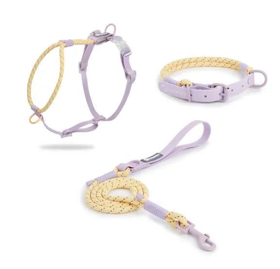 Solid colour PVC dog hand holding rope in crimson purple yellow or taoyao green showing 120cm length