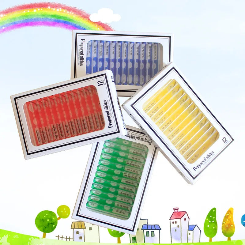 Plastic microscope slides for children with colour-coded biological specimens including plant rhizomes