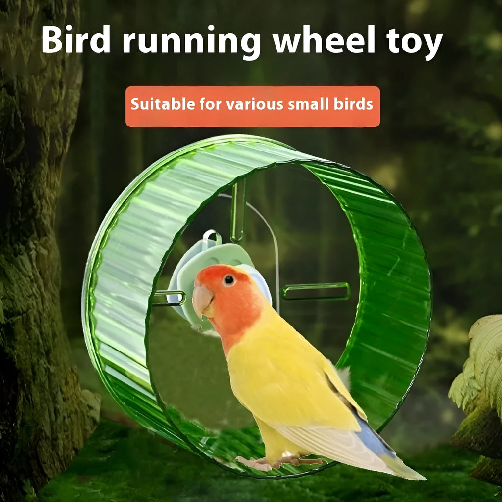21cm diameter parrot exercise running wheel in transparent plastic for bird cage enrichment