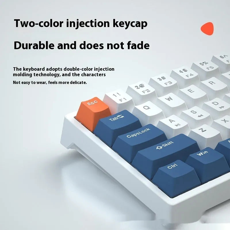 61-key mechanical keyboard with blue and white colour scheme and compact design