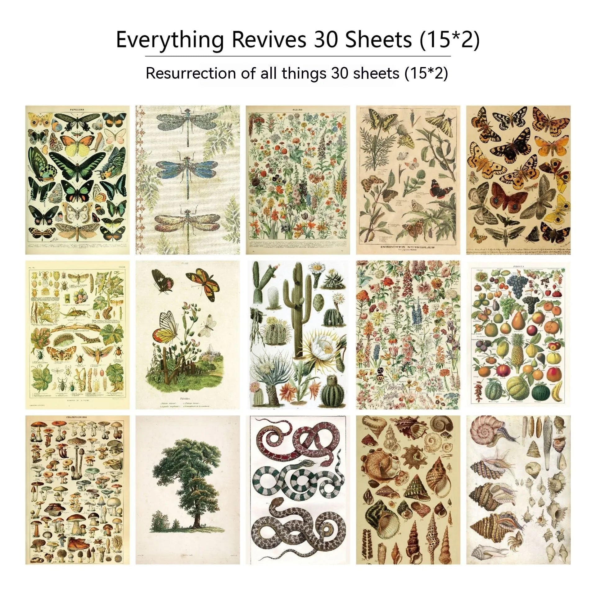 30-piece vintage scrapbook paper set with botanical floral and musical printed designs