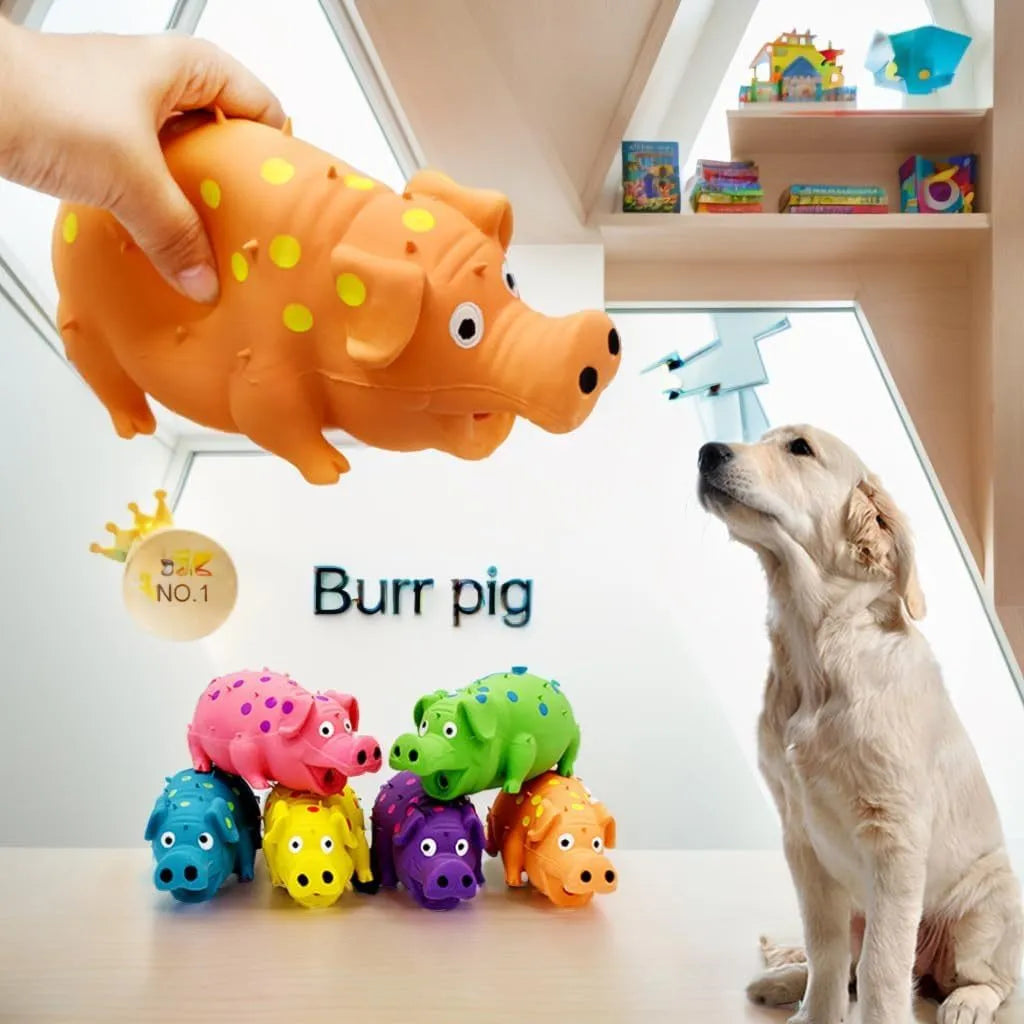Pig-shaped latex squeaky dog chew toy in various colours with textured surface