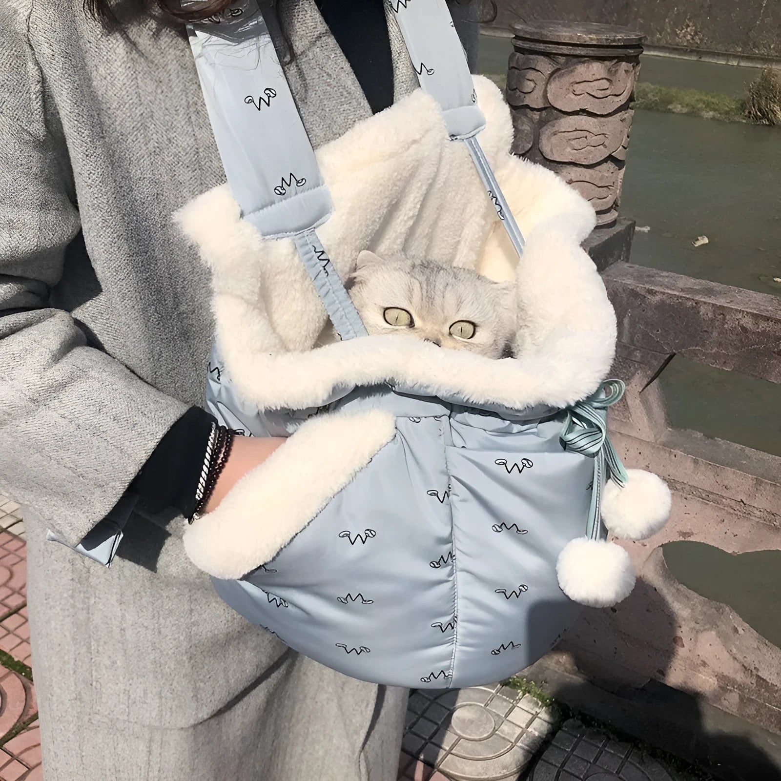 Blue winter pet carrier backpack made of plush flannel for outdoor travel with small cats and dogs