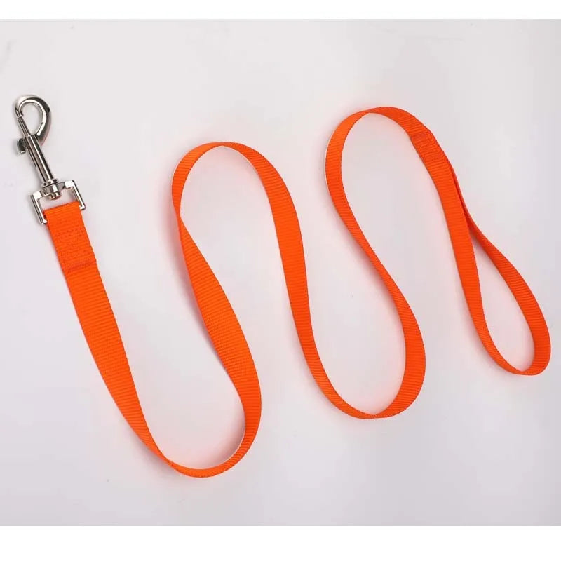 Solid colour polyester dog training lead with integrated hand-holding rope grip shown in blue.