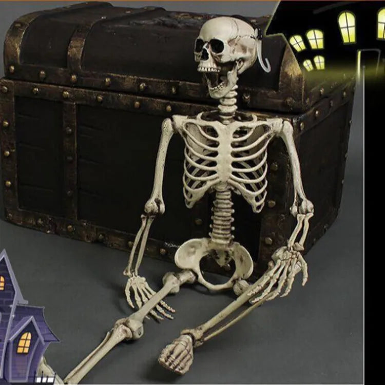 170cm tall plastic skeleton prop with detailed skull and full bone structure
