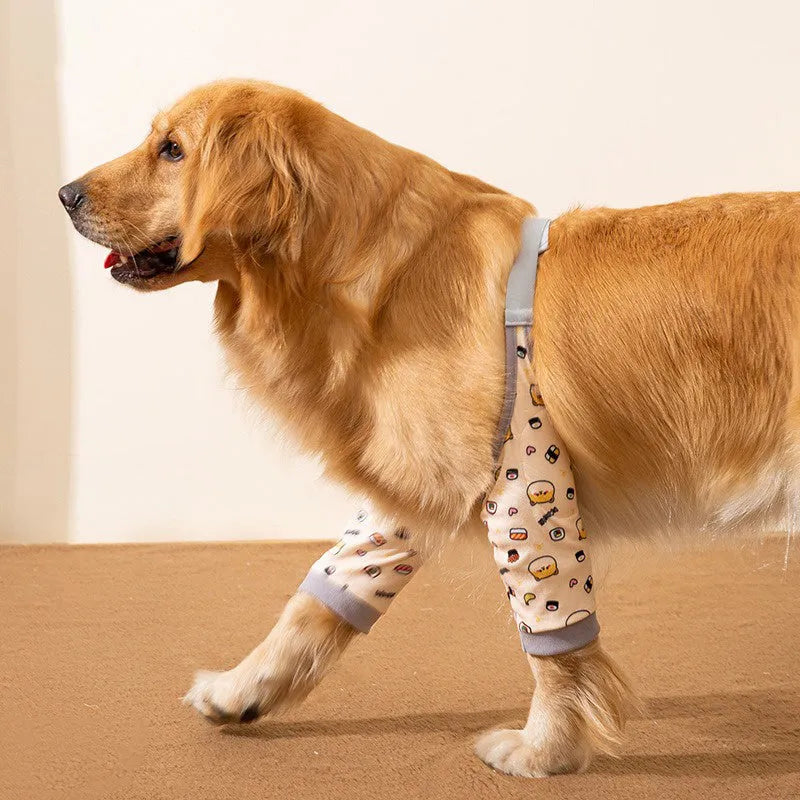 Adjustable dog knee protector pad with elbow padding and matching scarf in blue colour