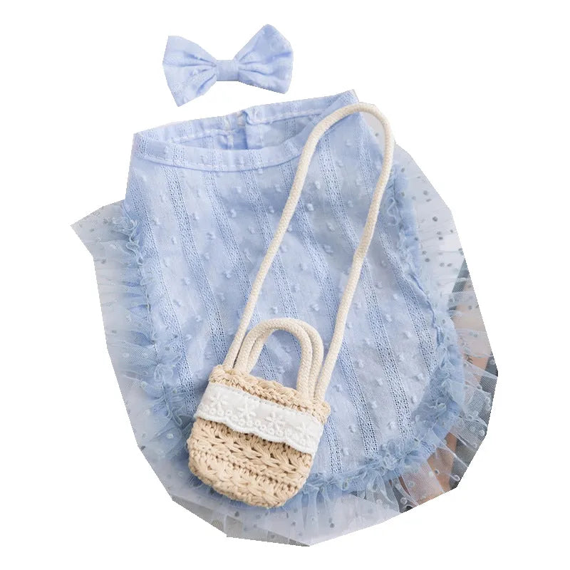 Small dog wearing two-tone blue country costume with ruffles, matching bow, and small woven crossbody bag