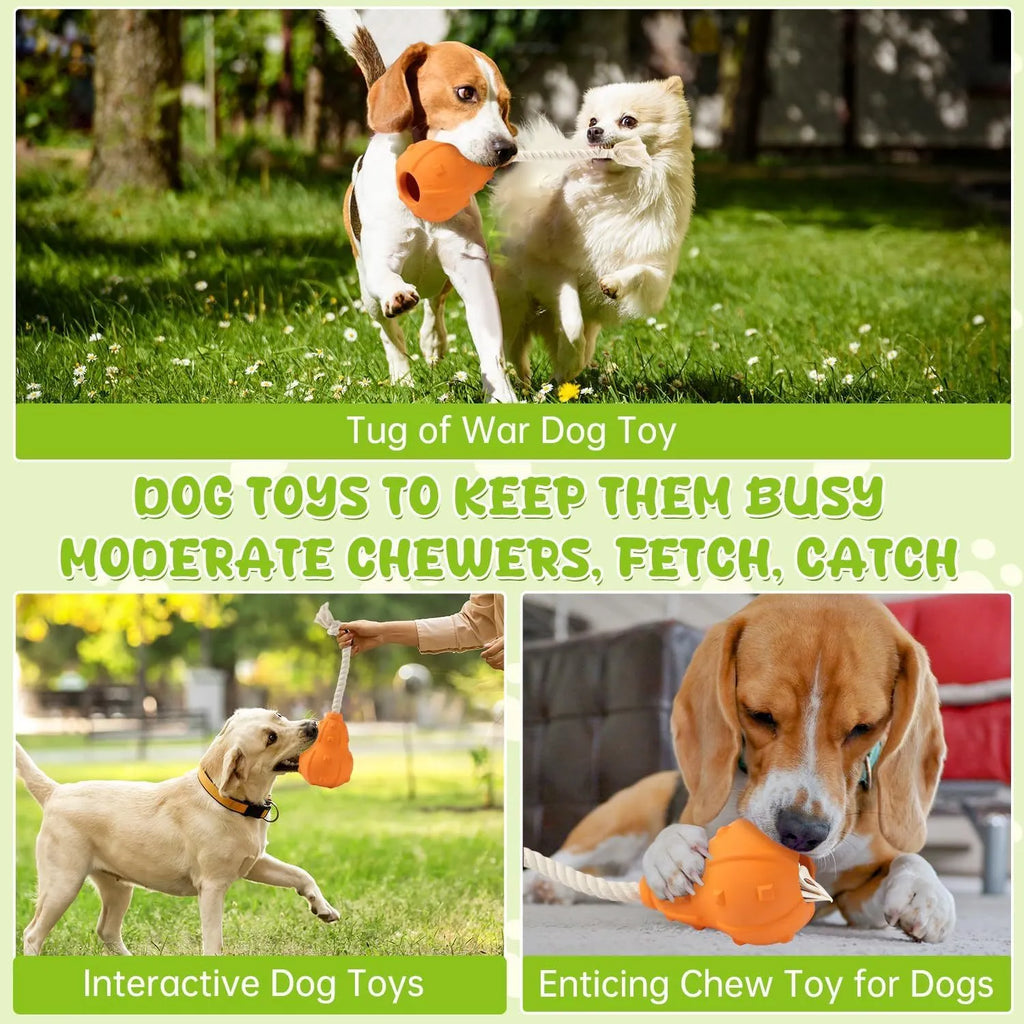 Natural rubber stuffable dog toy with longer strap for interactive play