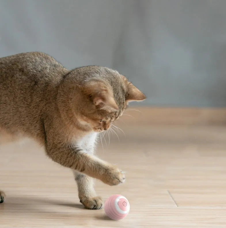 Blue automatic moving cat toy ball with silicone construction for indoor feline play