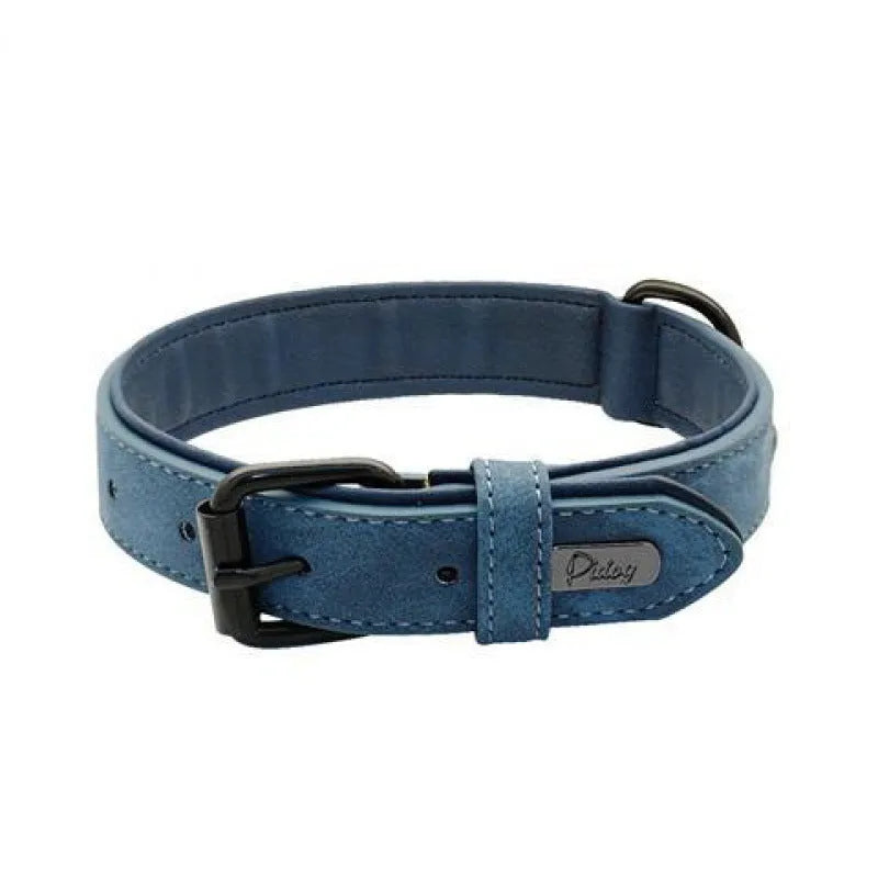 Adjustable dog collar on a white background showing PU front and microfiber back, in a choice of five colours.