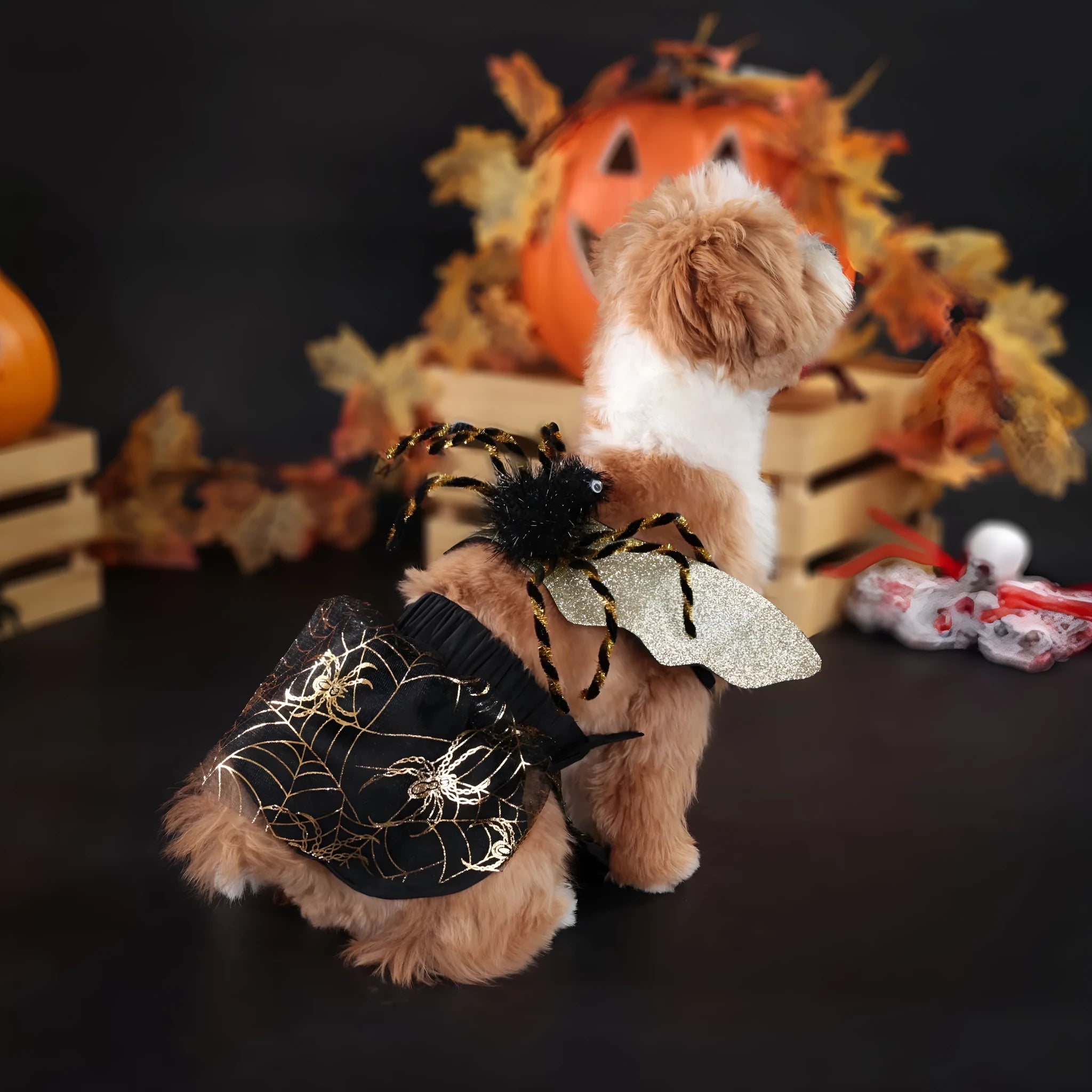 Polyester Halloween dog costume suit in sizes S M L XL for pet Halloween parties