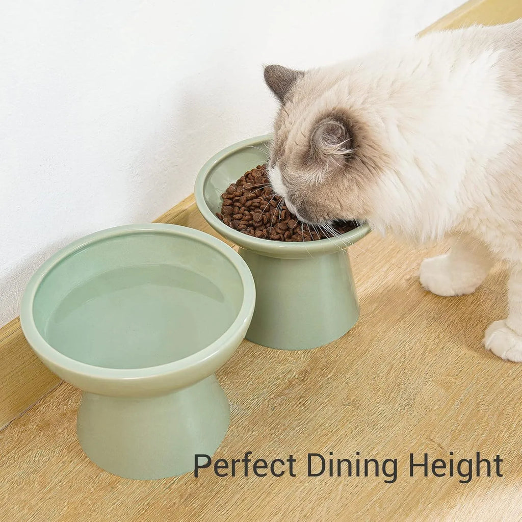 Blue ceramic elevated cat bowl with wide shallow dish and 12cm height for whisker-friendly feeding