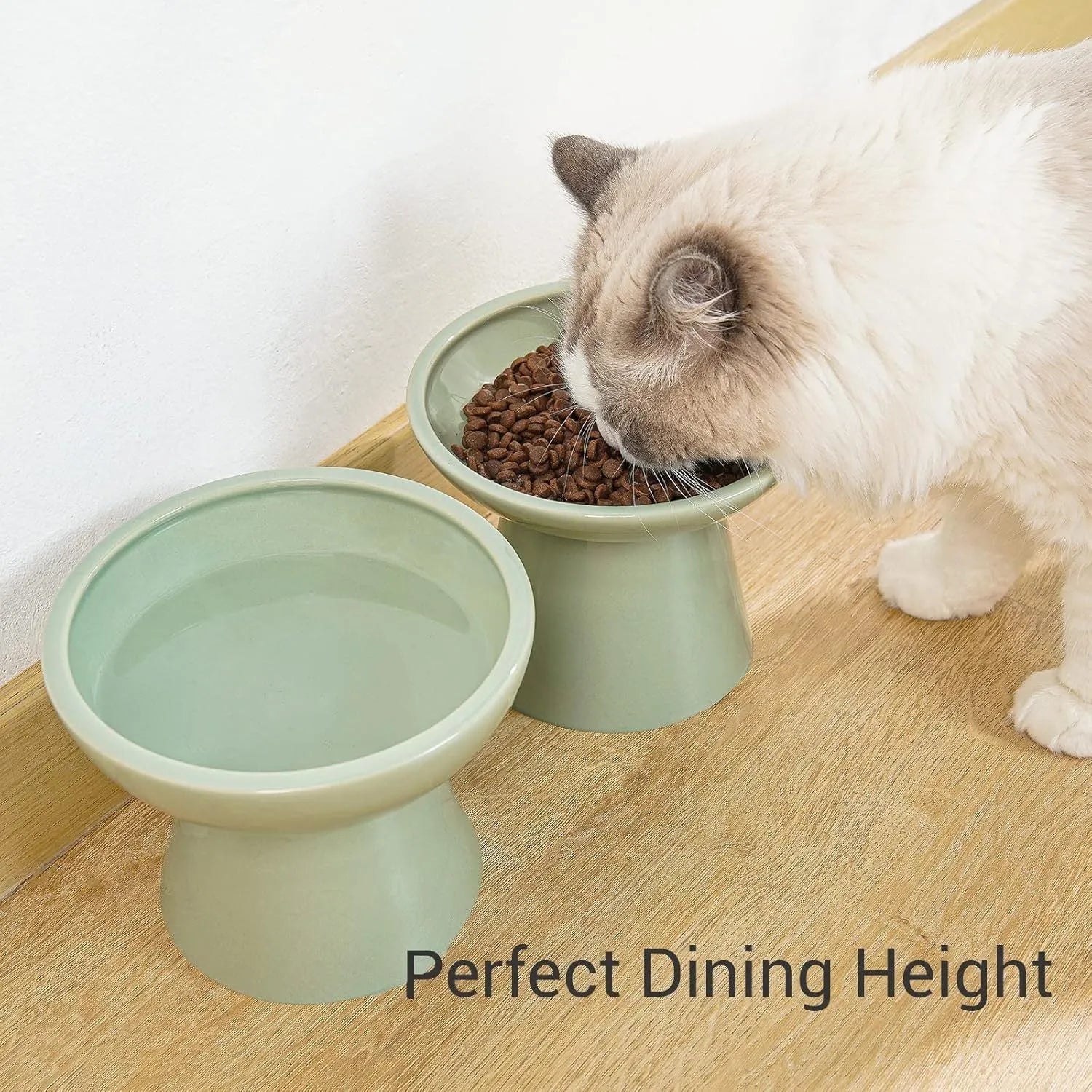Blue ceramic elevated cat bowl with wide shallow dish and 12cm height for whisker-friendly feeding