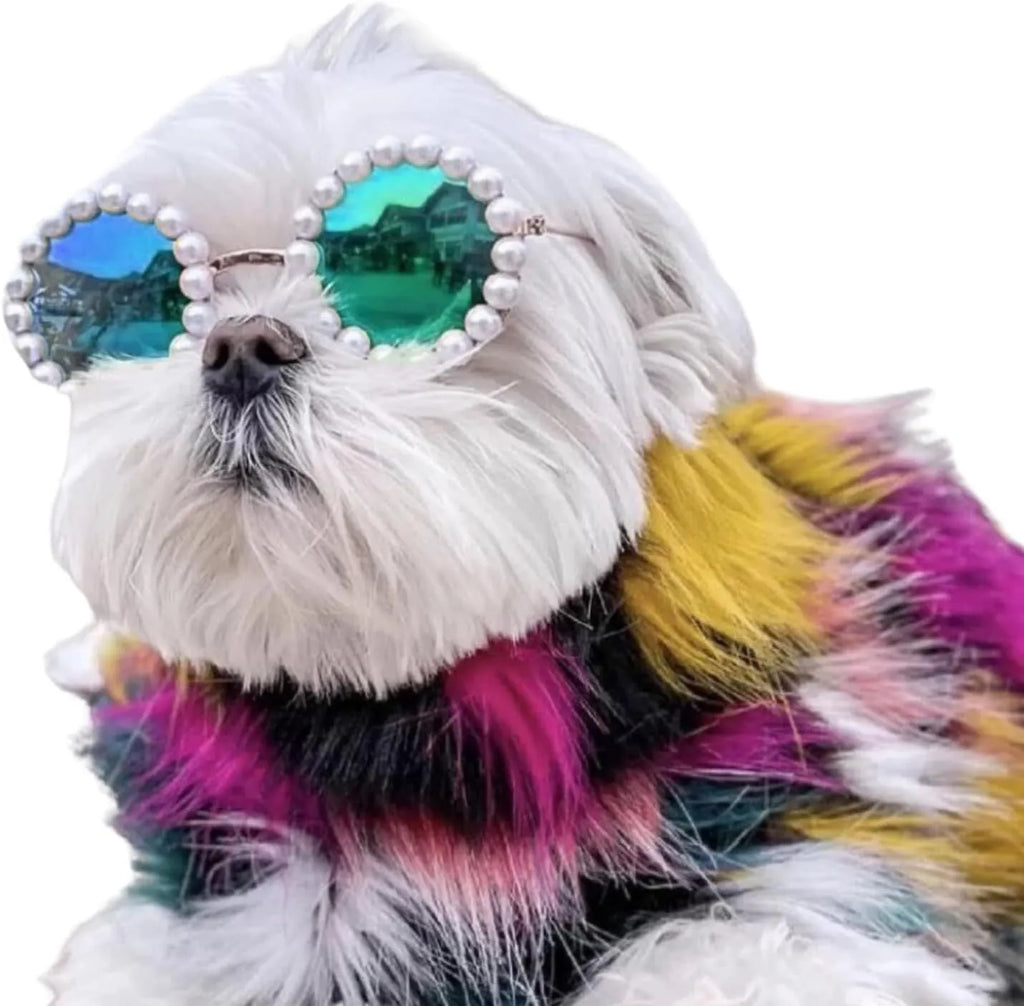 Pearl-rimmed round sunglasses for pets on cat and dog with black, blue, coffee, orange and purple colour options