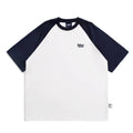Blue loose-fit men's raglan sleeve T-shirt on a hanger, front view.