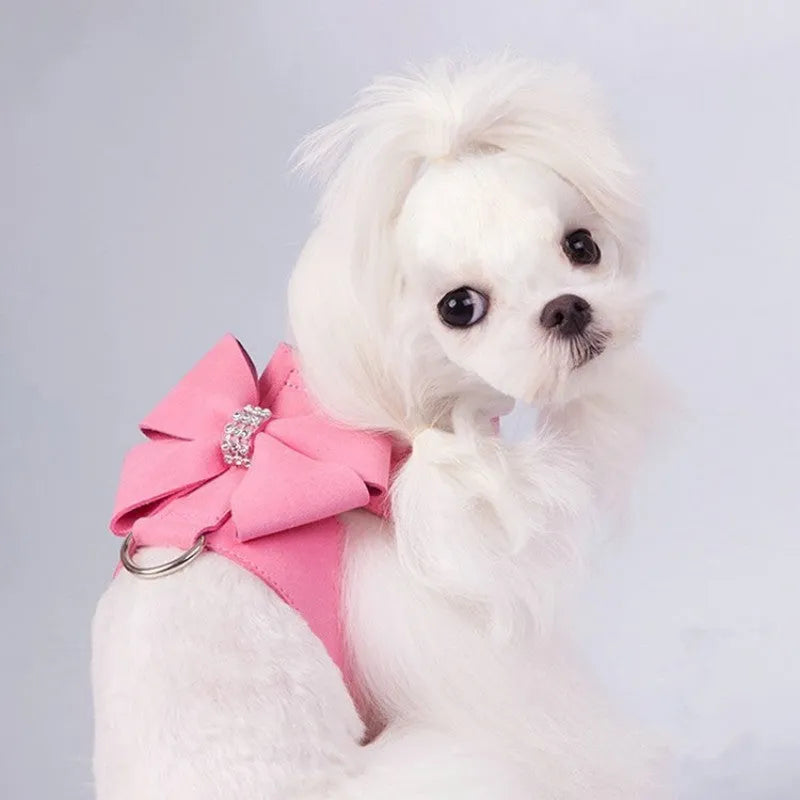 Microfiber dog chest strap with bowknot collar in pink blue orange colours