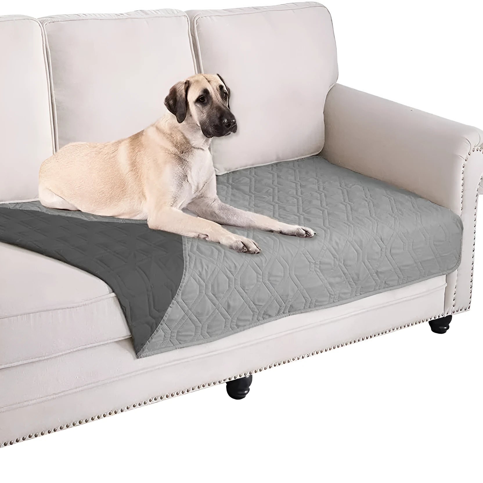 Reversible waterproof dog blanket sofa cover in multiple colours and sizes for furniture protection