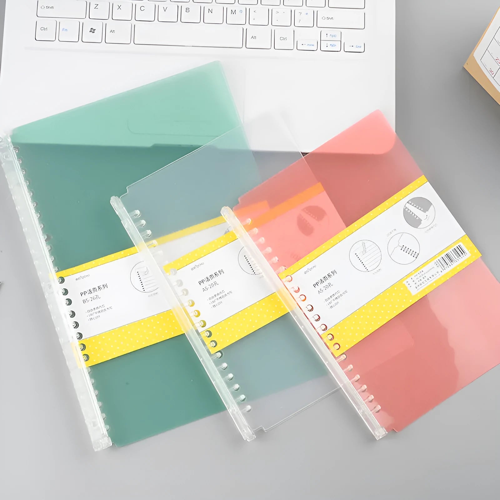 Plastic flipbook frosted cover clip for A5 loose leaf binding in transparent colour