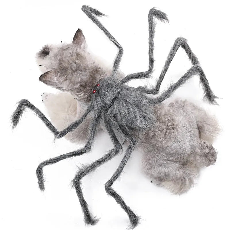 Halloween spider costume for pets in grey, brown, black or purple colours