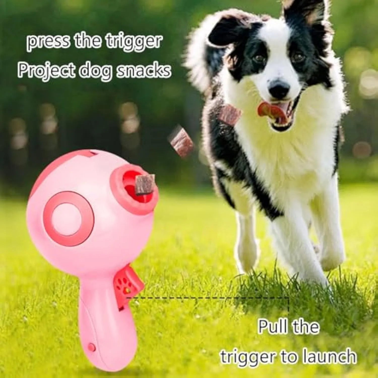 Green, orange, and pink dog treat launcher toy shown next to a measuring tape indicating 15.5 cm length.