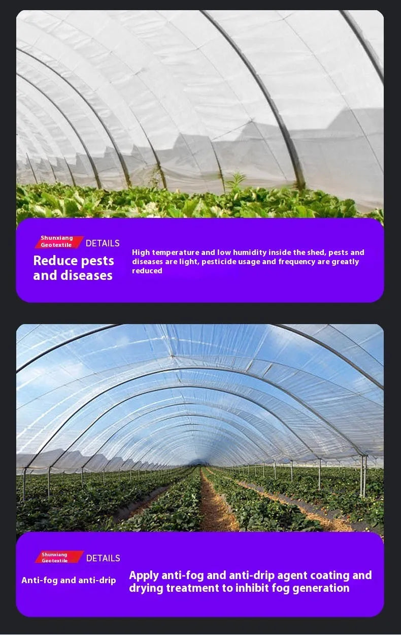 Plastic greenhouse film roll for vegetable shed insulation measuring 4 metres by 8 metres