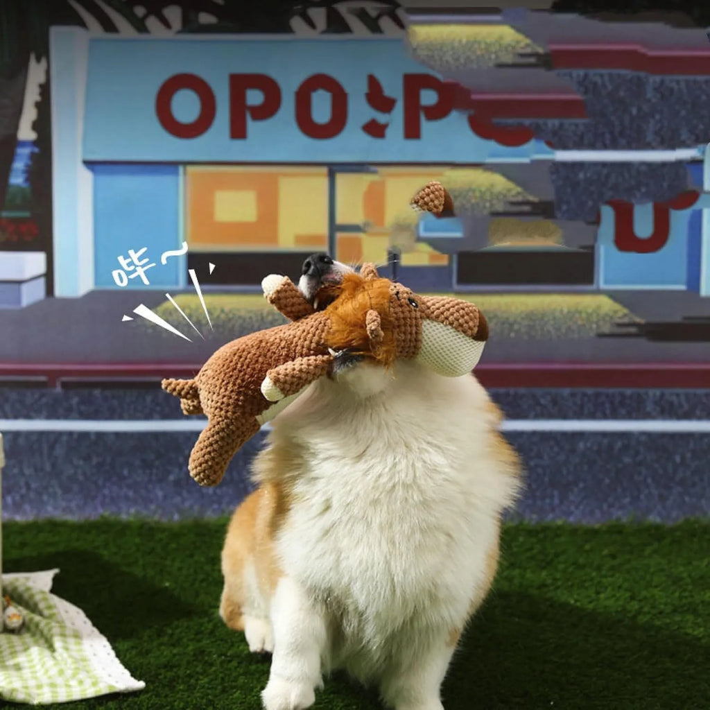 Colourful plush dog chew toy with corn kernel texture and animal shape for teeth grinding and interactive play.