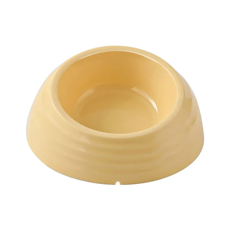Stainless steel cat bowl in plastic stand available in beige, brown or light green colours