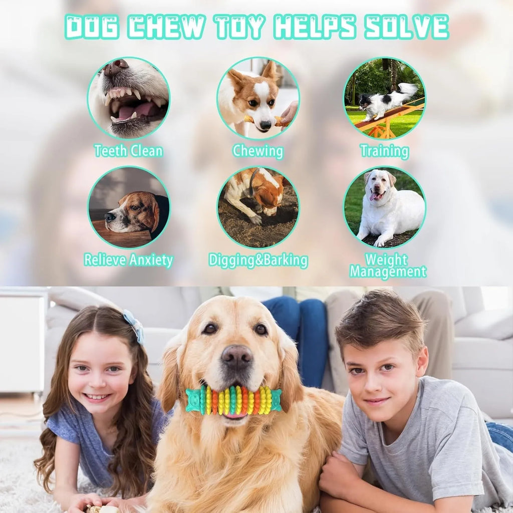 Blue rubber caterpillar-shaped dog chew toy for aggressive chewers on a white background.